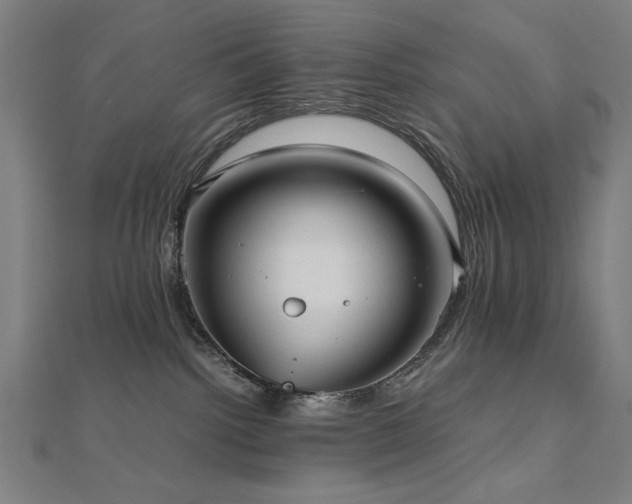 X0000112510092200908171343