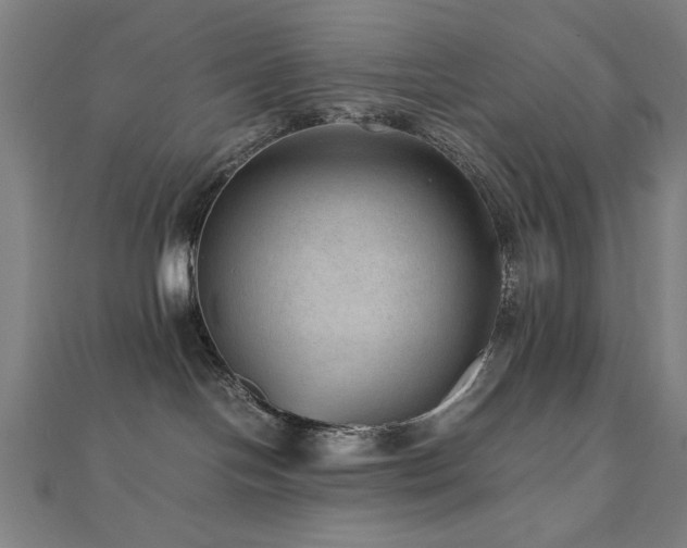 X0000112510094200908171343