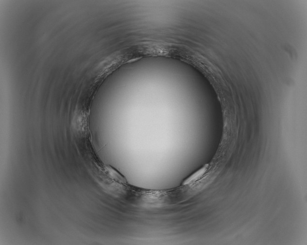 X0000112510096200908171343