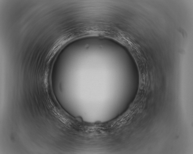 X0000112510098200908171342