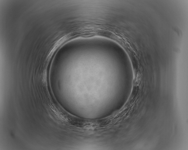 X0000112510099200908171342