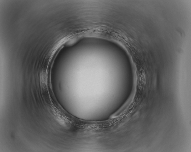 X0000112510100200908171342