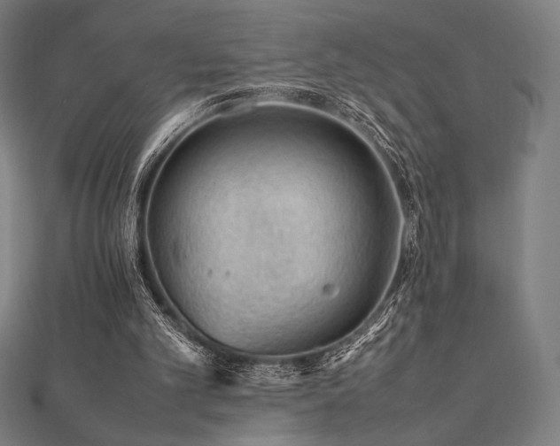 X0000112510101200908171342