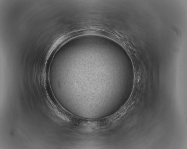 X0000112510102200908171342