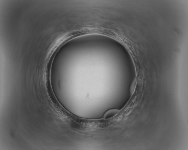 X0000112510103200908171342