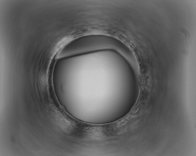 X0000112510104200908171342