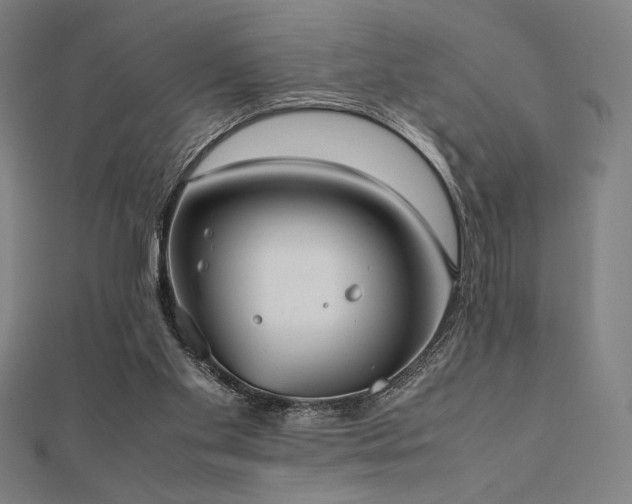 X0000112510109200908171342