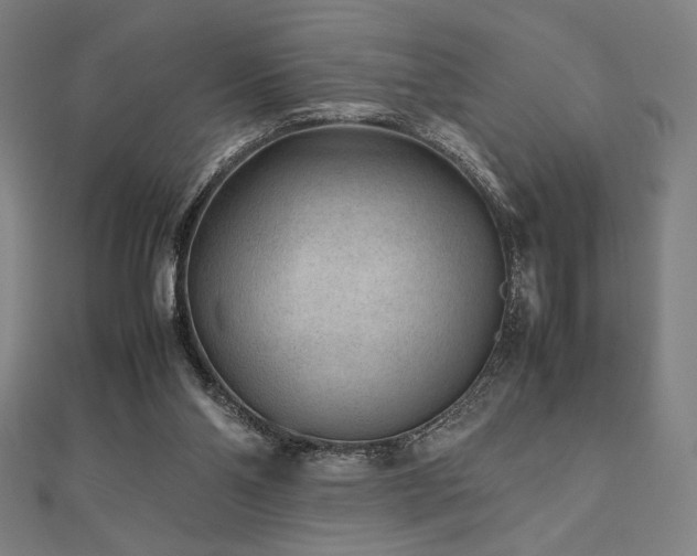 X0000112510110200908171342