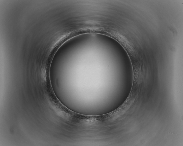 X0000112510112200908171342