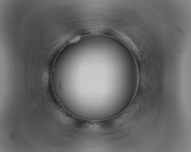 X0000112510113200908171342