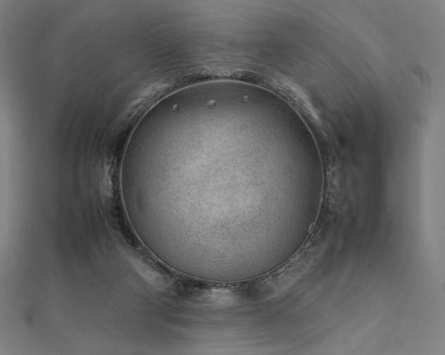 X0000112510114200908171342