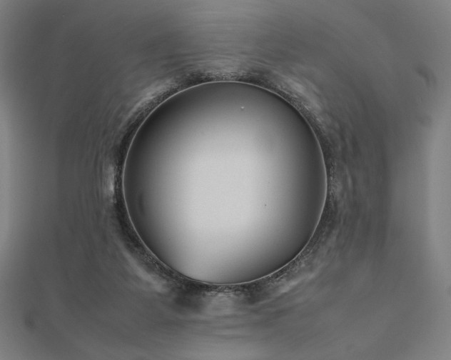 X0000112510115200908171342