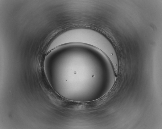 X0000112510116200908171342