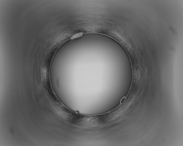 X0000112510117200908171342