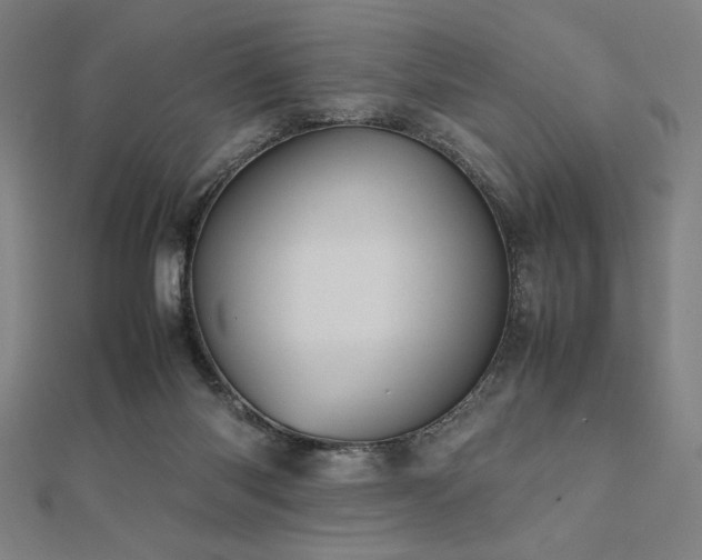 X0000112510118200908171341