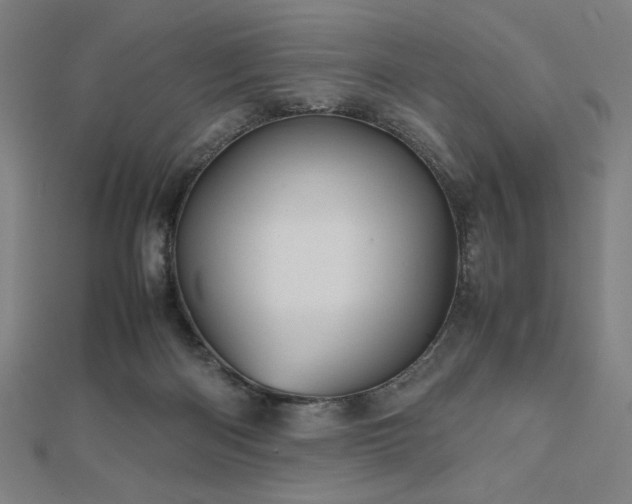 X0000112510122200908171341