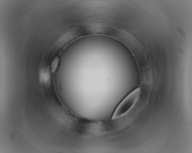 X0000112510124200908171341