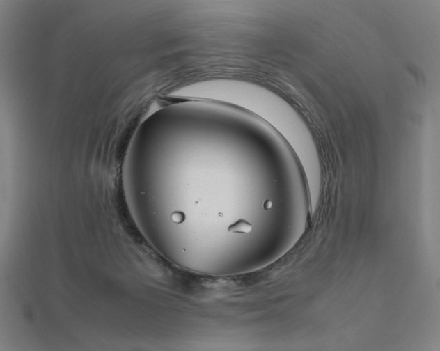 X0000112510125200908171341