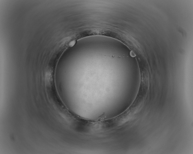 X0000112510127200908171341