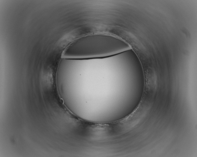 X0000112510128200908171341