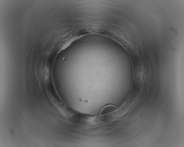 X0000112510130200908171341