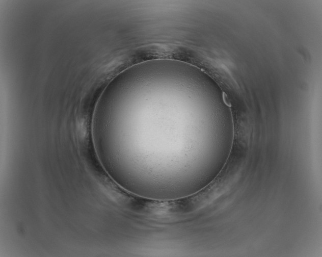 X0000112510131200908171341