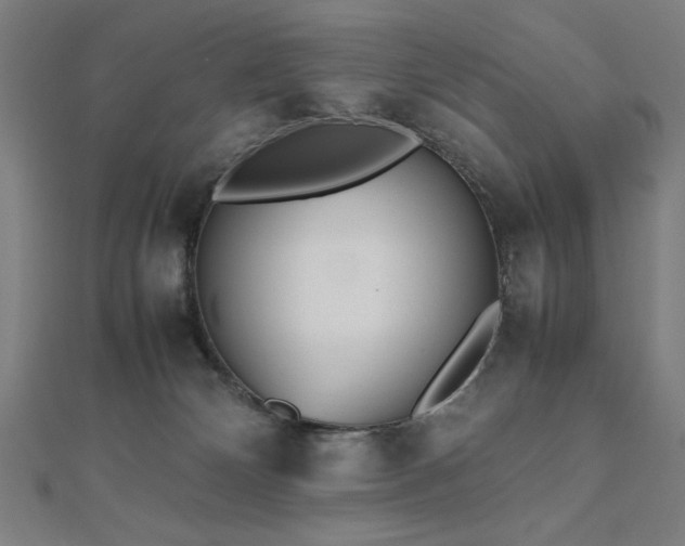 X0000112510132200908171341