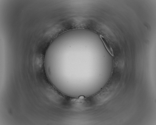 X0000112510133200908171341