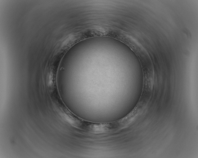 X0000112510134200908171341