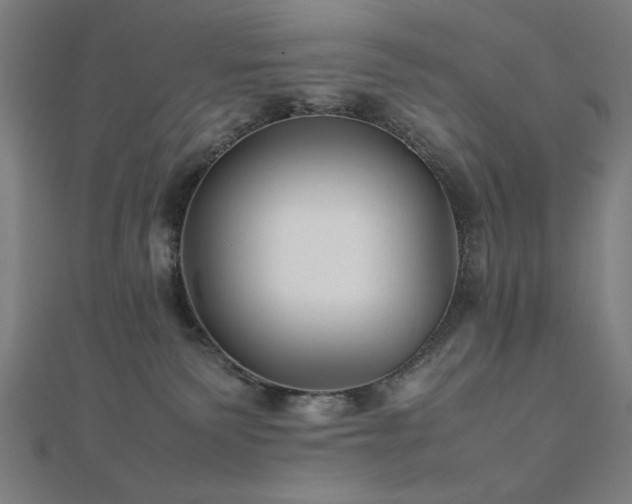 X0000112510135200908171341