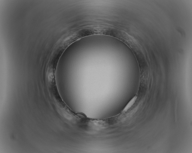 X0000112510137200908171341