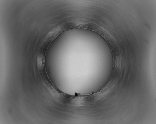 X0000112510138200908171341