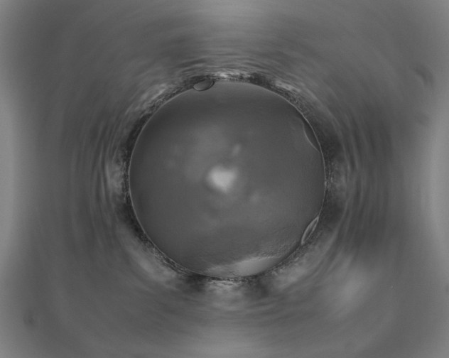 X0000112510139200908171341