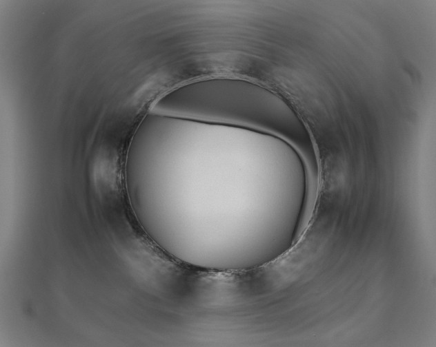 X0000112510140200908171341