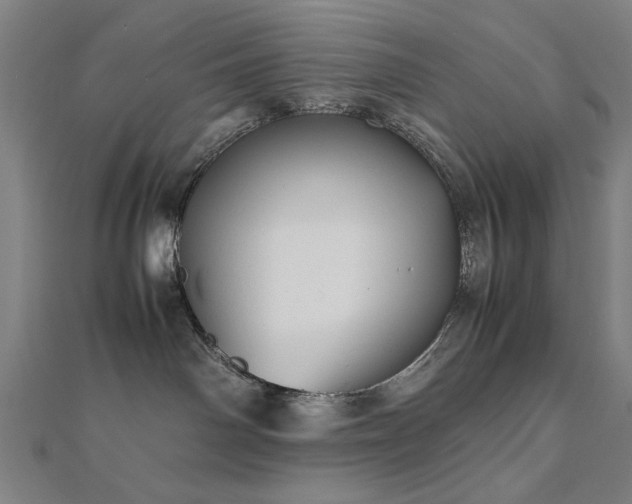 X0000112510142200908171341