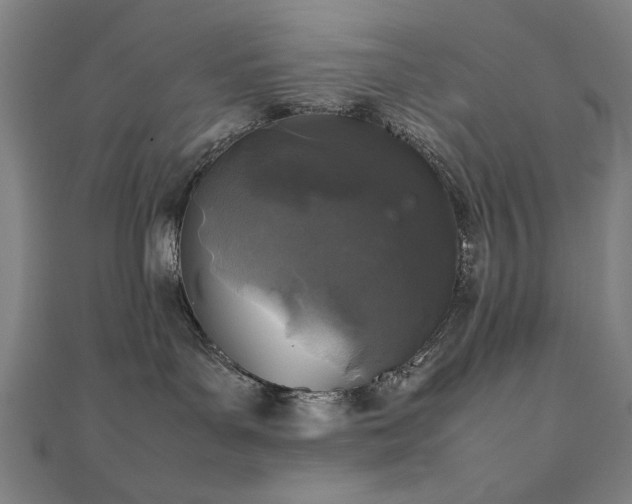 X0000112510143200908171341