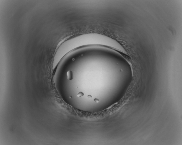 X0000112510144200908171341