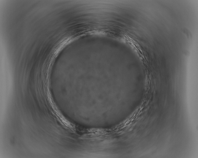 X0000112510145200908171341