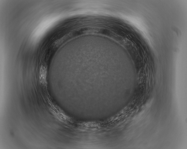 X0000112510146200908171341