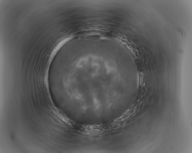 X0000112510147200908171341