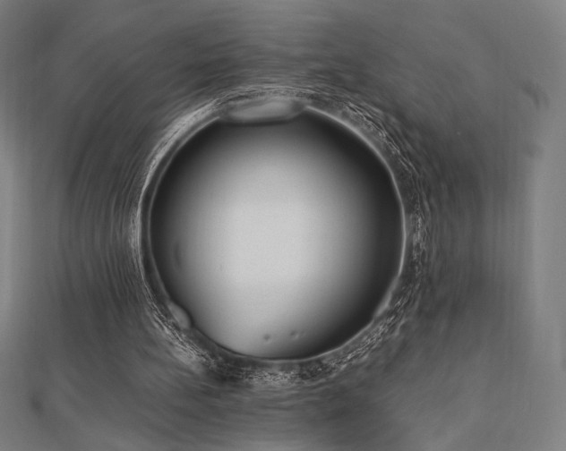 X0000112510148200908171341