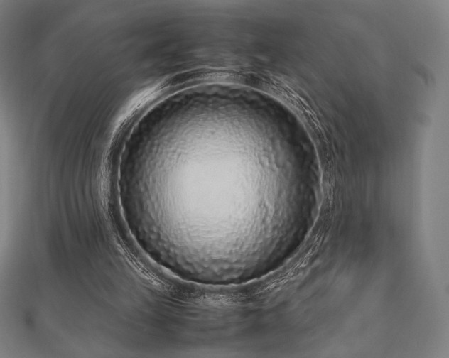 X0000112510149200908171341