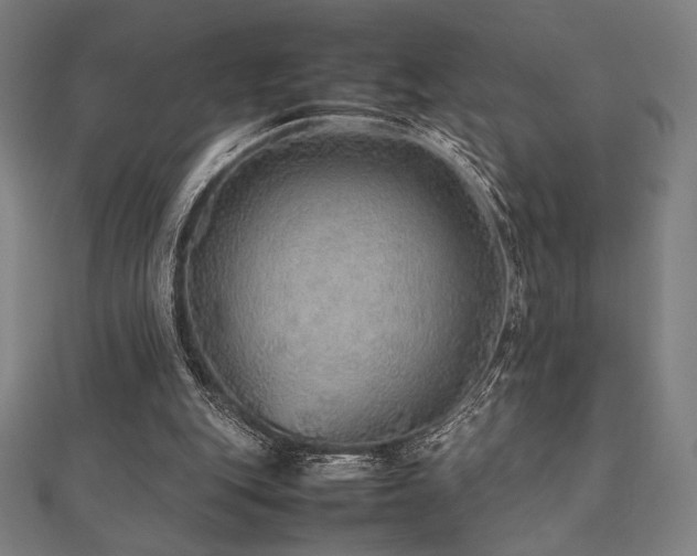 X0000112510151200908171341