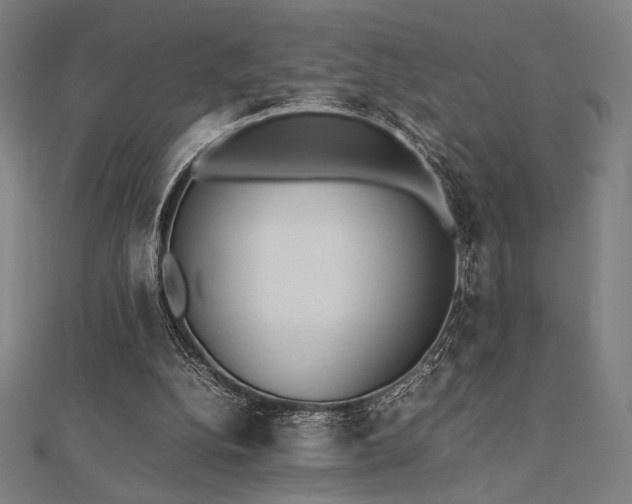 X0000112510152200908171341