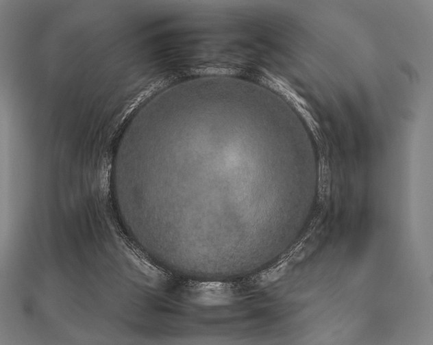 X0000112510153200908171341