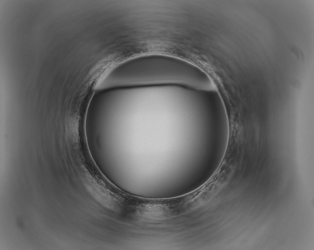 X0000112510154200908171341