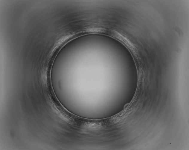 X0000112510155200908171341