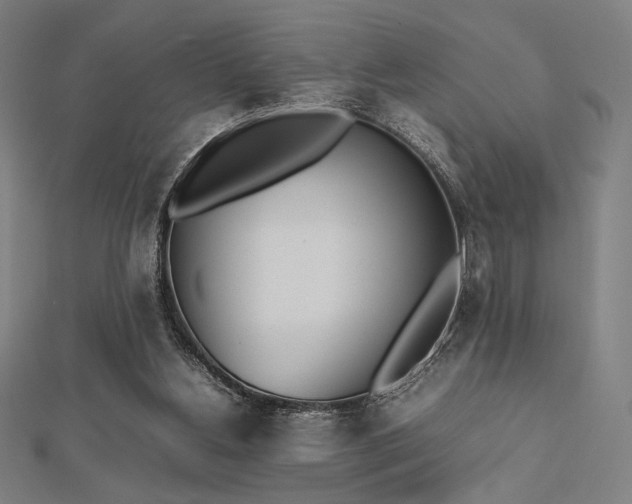 X0000112510156200908171341