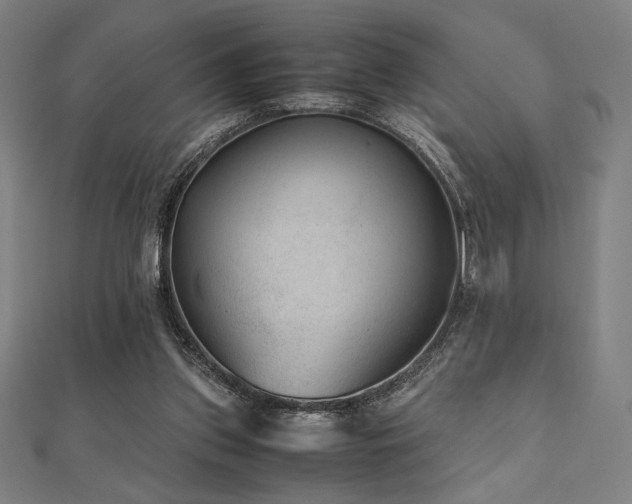 X0000112510157200908171341