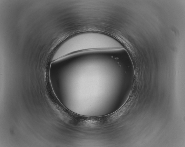 X0000112510158200908171341